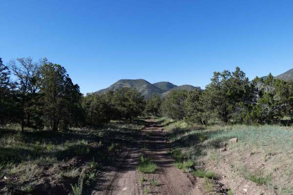 Crosby Canyon FS66