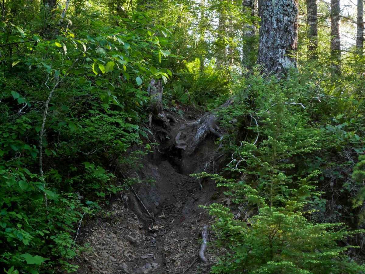 #116 (Part 2) trail photo