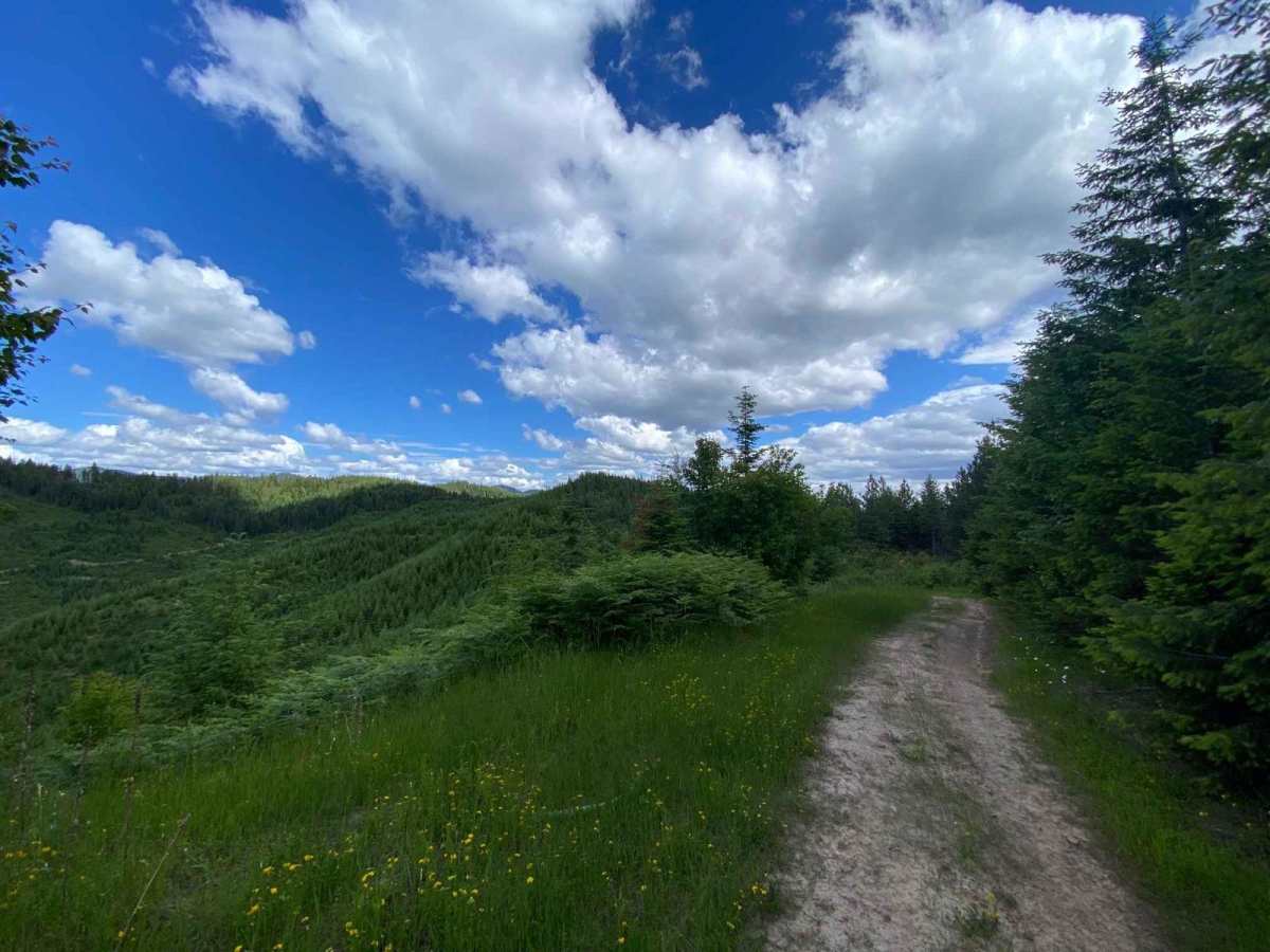 Ruby Creek C photo 2
