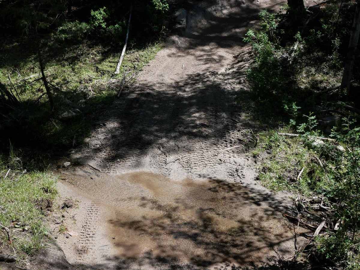 WP185 photo 3