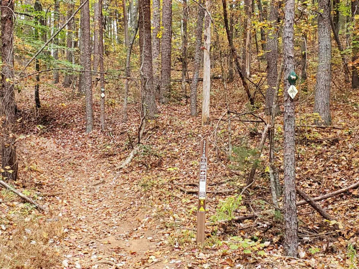 Moss Hill - FSR 28B photo 2