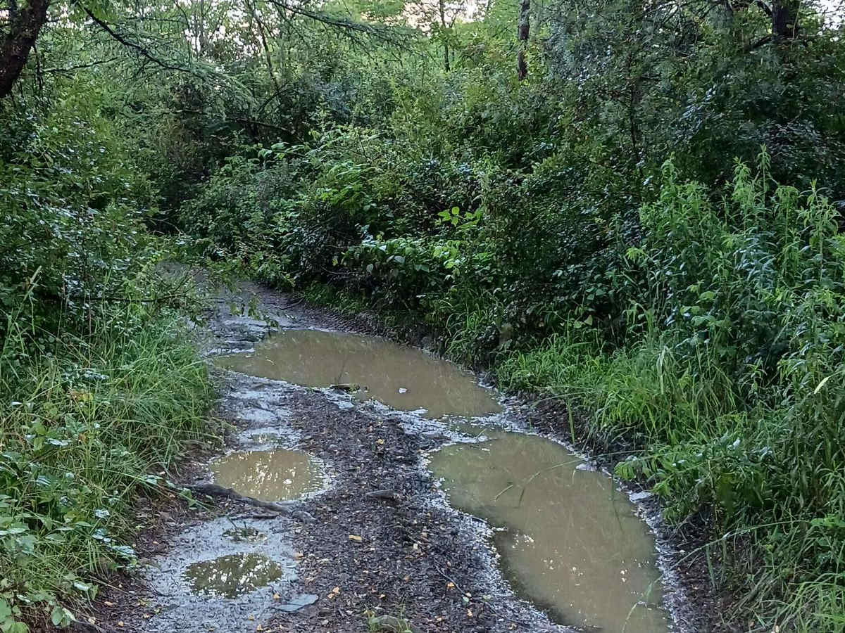 Trail 12N - Rock Run Recreation Area photo 4