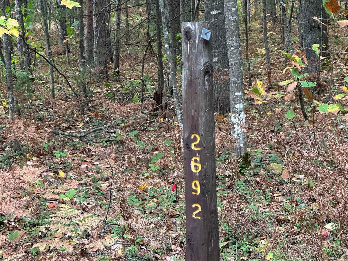 FS 2692 Part 1 trail photo