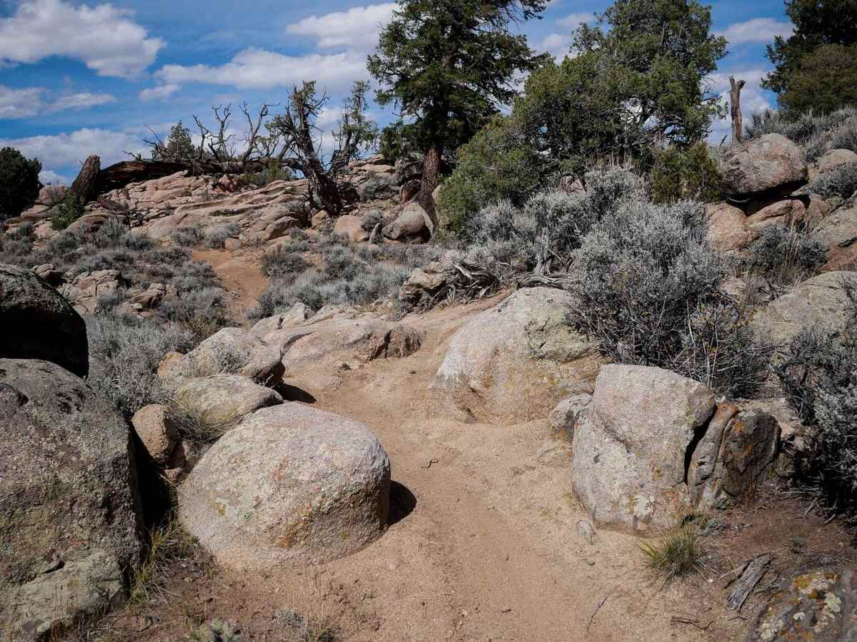 Outback photo 3