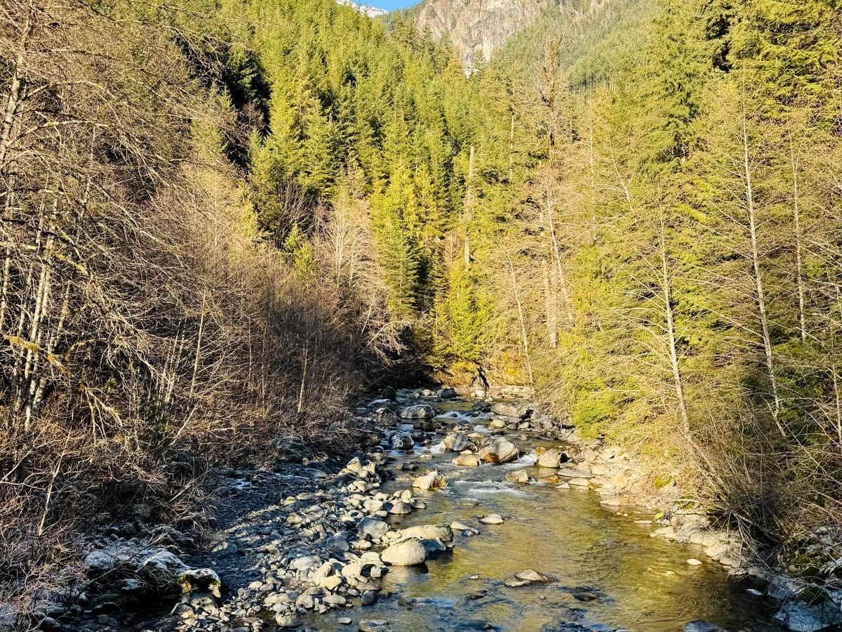 Foley Forest Service Road (FSR) photo 5