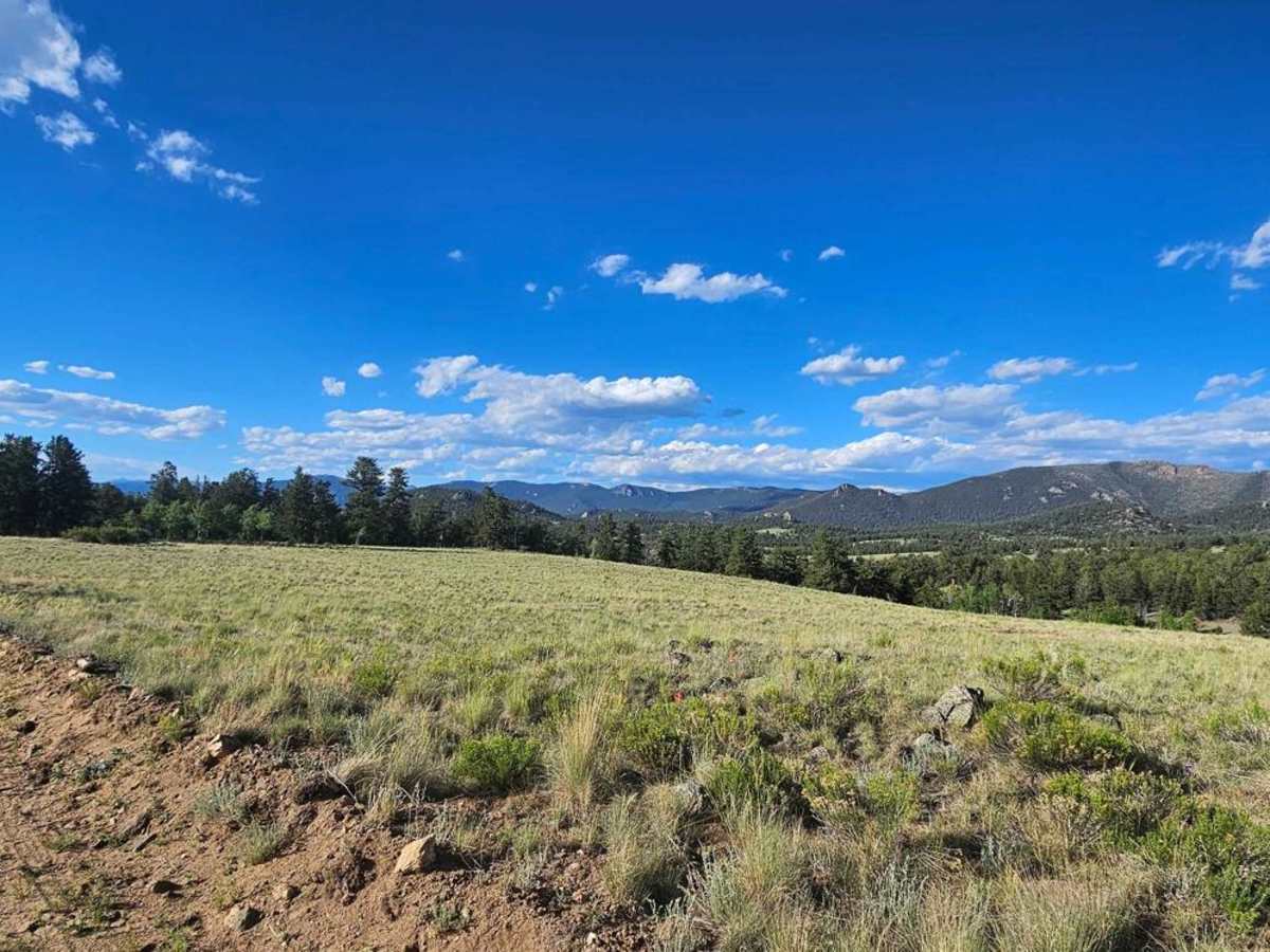 Turner Gulch Road photo 2