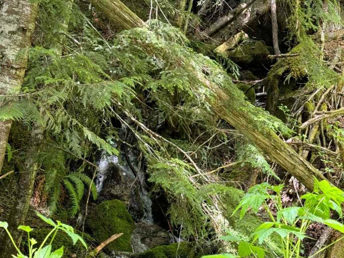 Beckler Peak photo 5