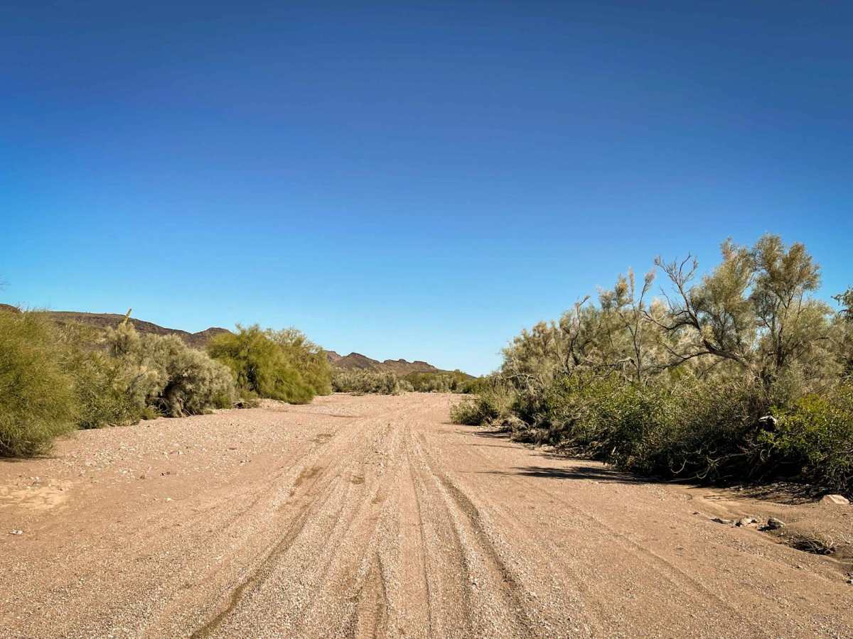 Upper Red Raven Wash photo 2