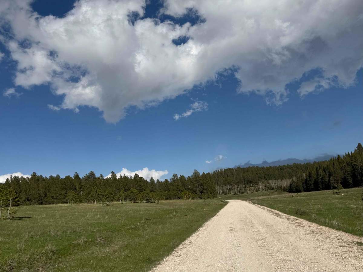 Six Mile Section 1 photo 2