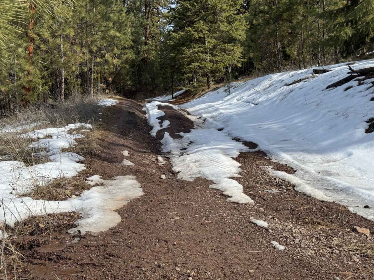 Micayune Gulch - FSR 1577 photo 6