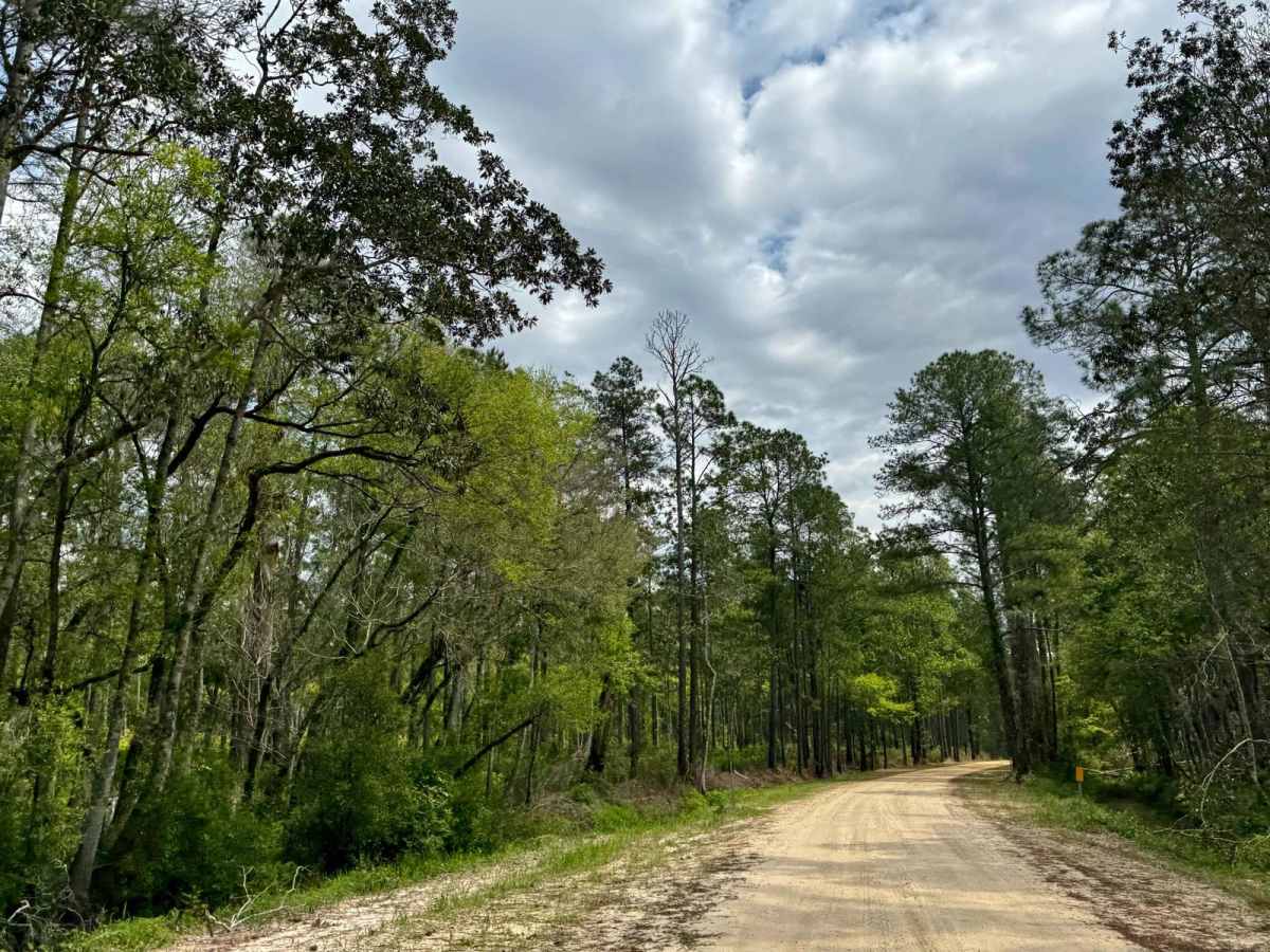 Bloody Bluff Road photo 3