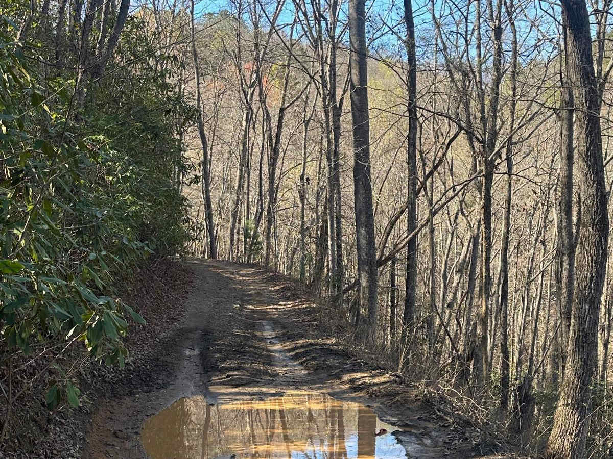 Popcorn Creek photo 6