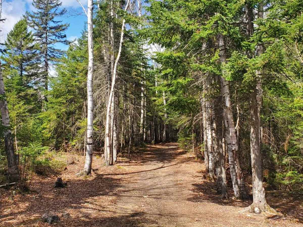 Trail #33 photo 3