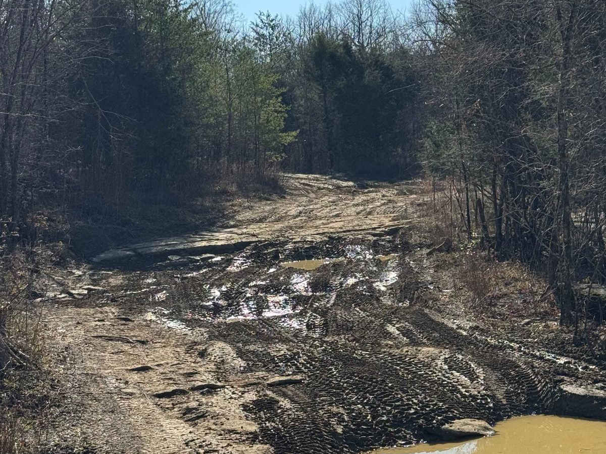 #91 Cane Creek Trail photo 5