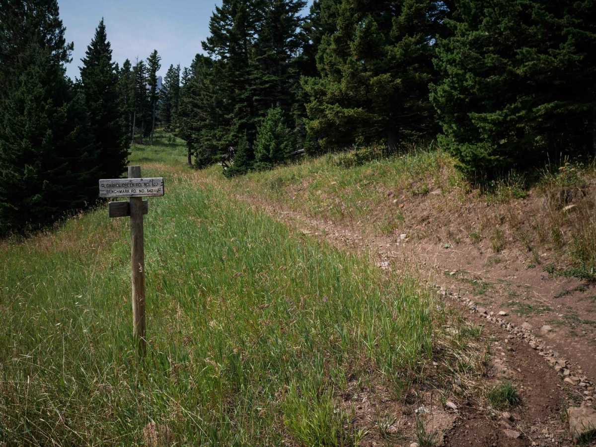South Fork Flathead Creek photo 4