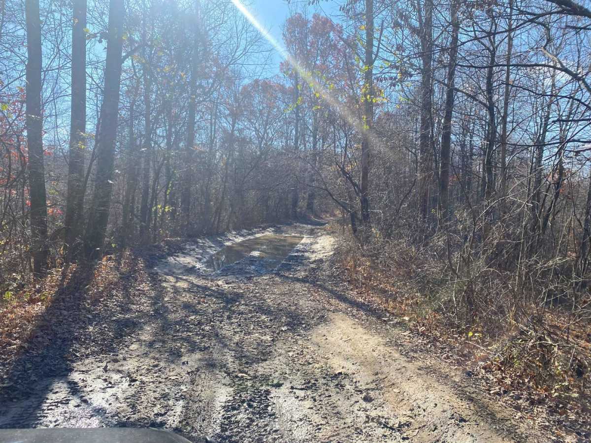 Pleasant Ridge Road - The Tar Hollow Trails photo 6