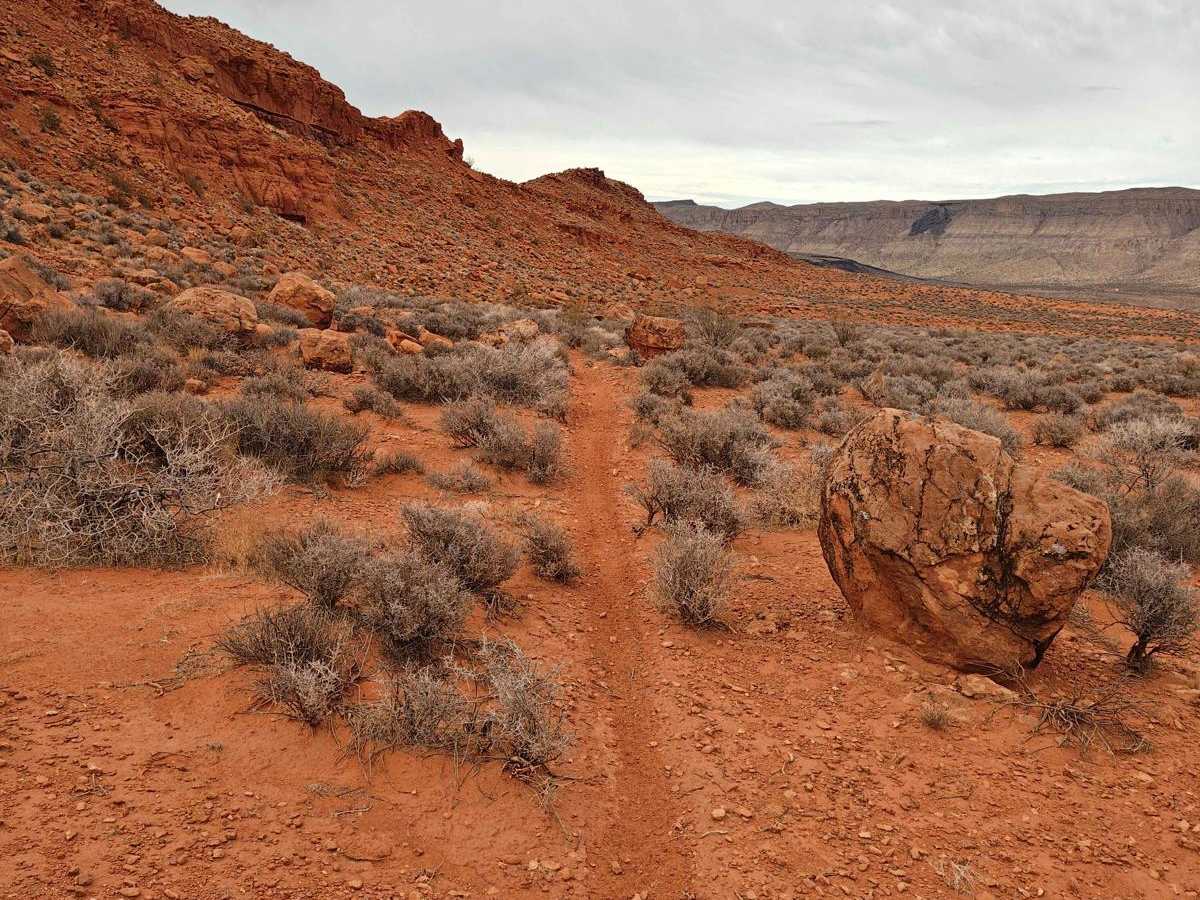 East Rim Squirrel Run - Single Track photo 3
