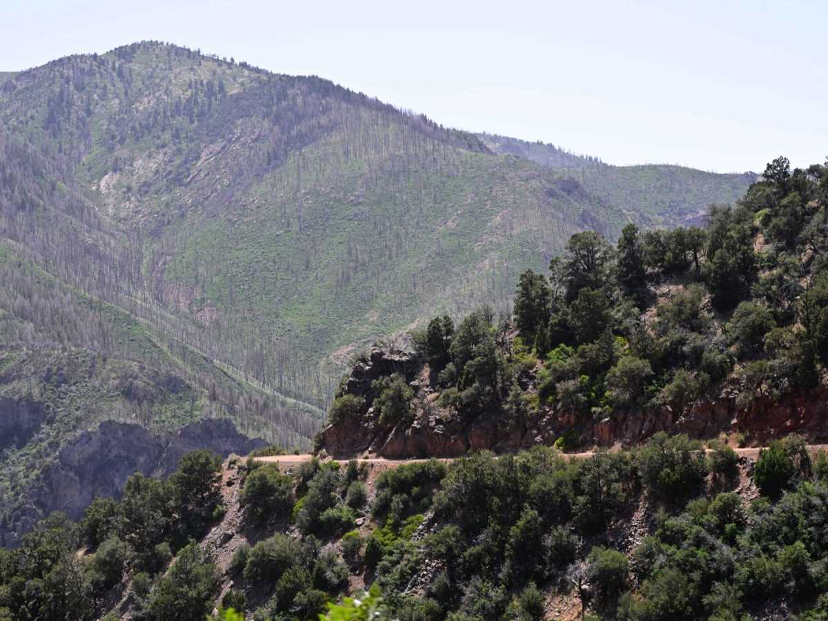 Chalk Creek Road/PST 03A photo 4
