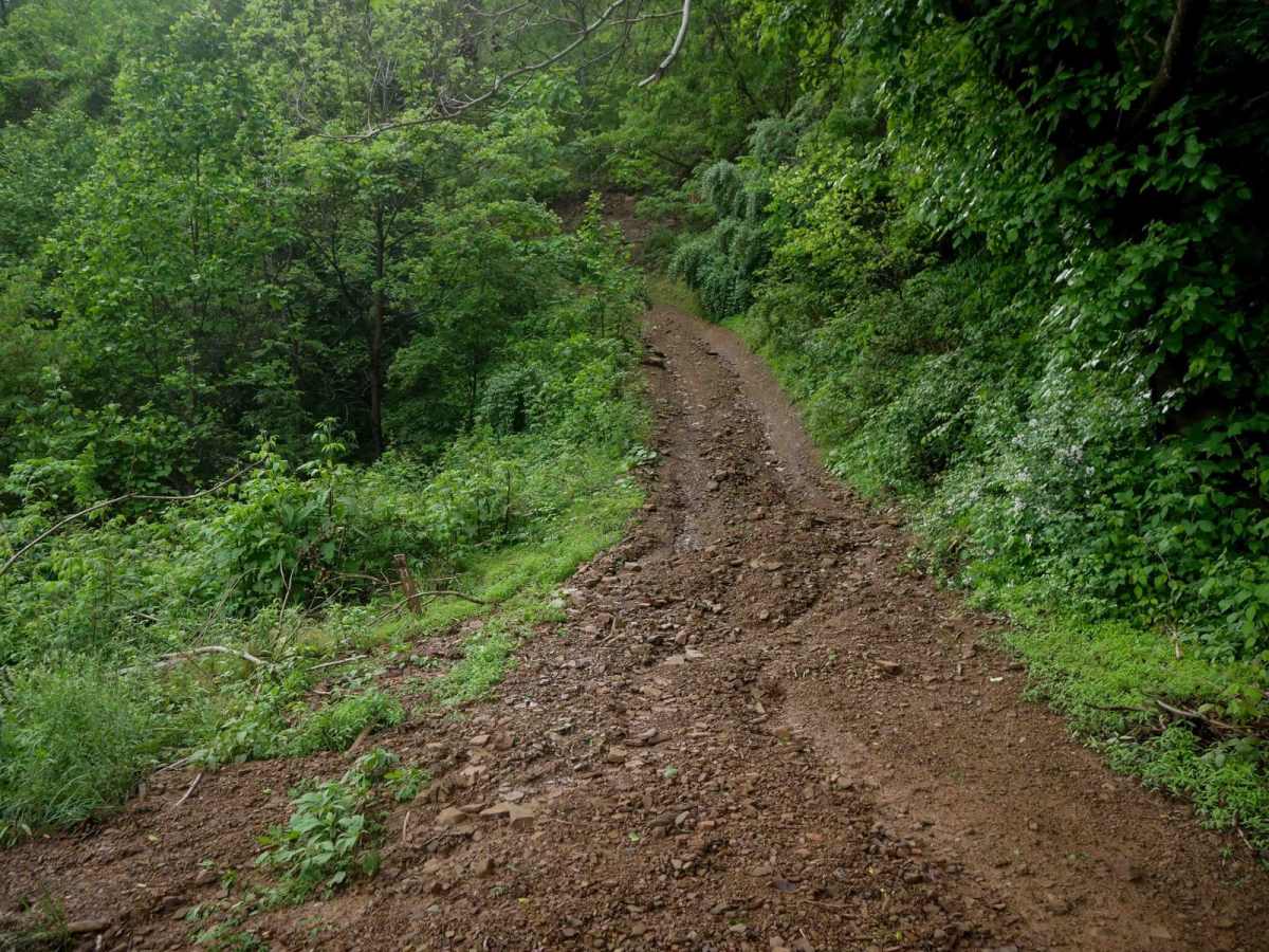 CC21 trail photo