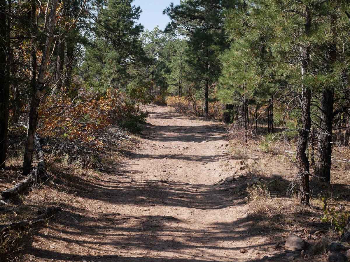 Spring Creek Spur A ATV Trail photo 5
