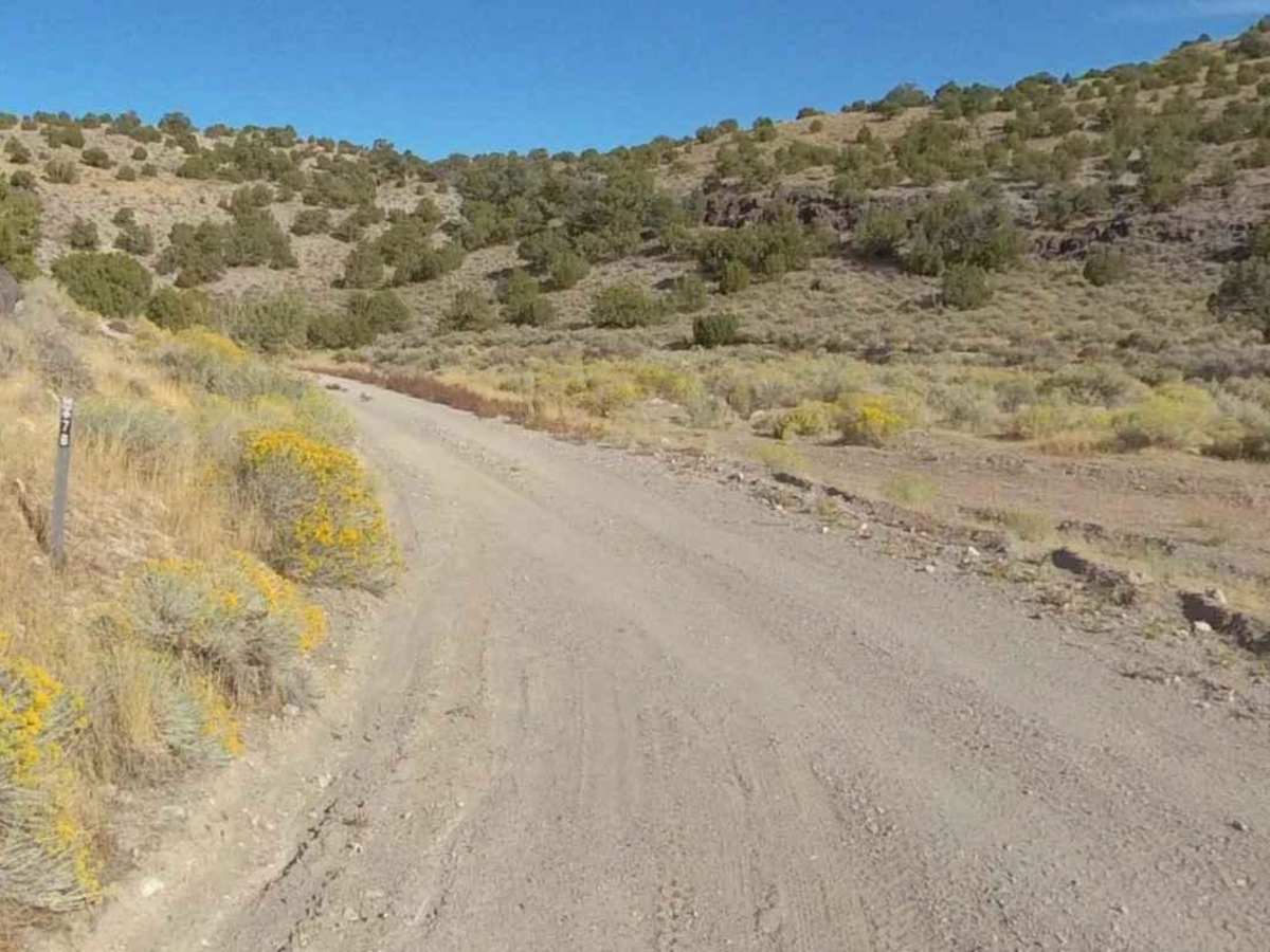 Slow Elk Road-JC8122901 photo 3