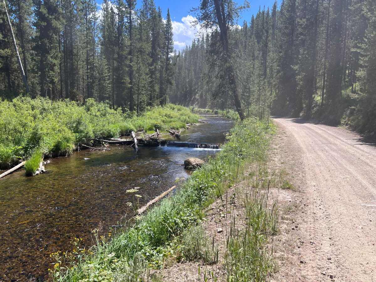 South Fork Madison Road (478) photo 3