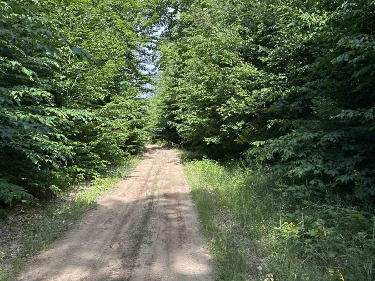 County Road 371 photo 6