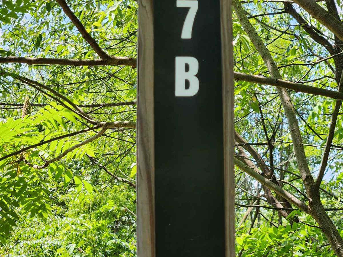 Trail 7B - Rock Run Recreation Area trail photo