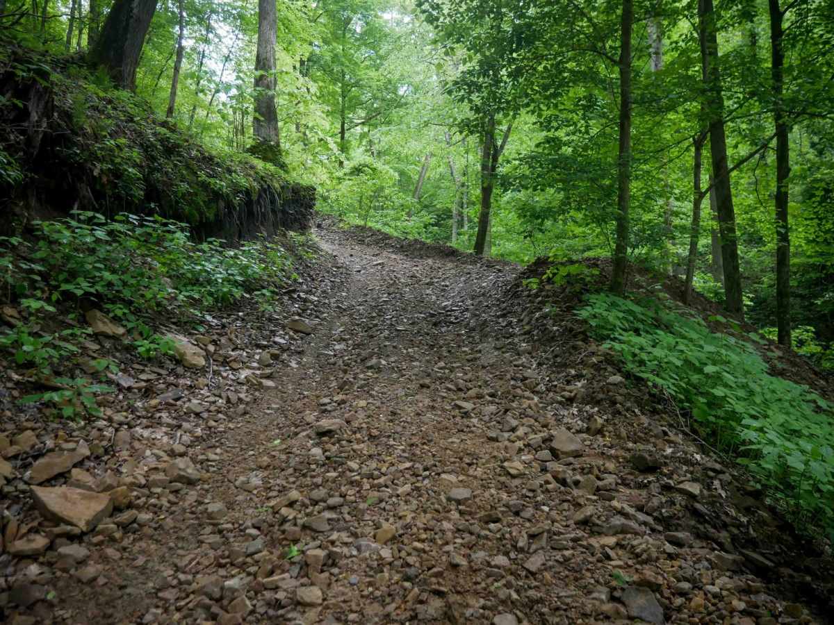 B85 trail photo