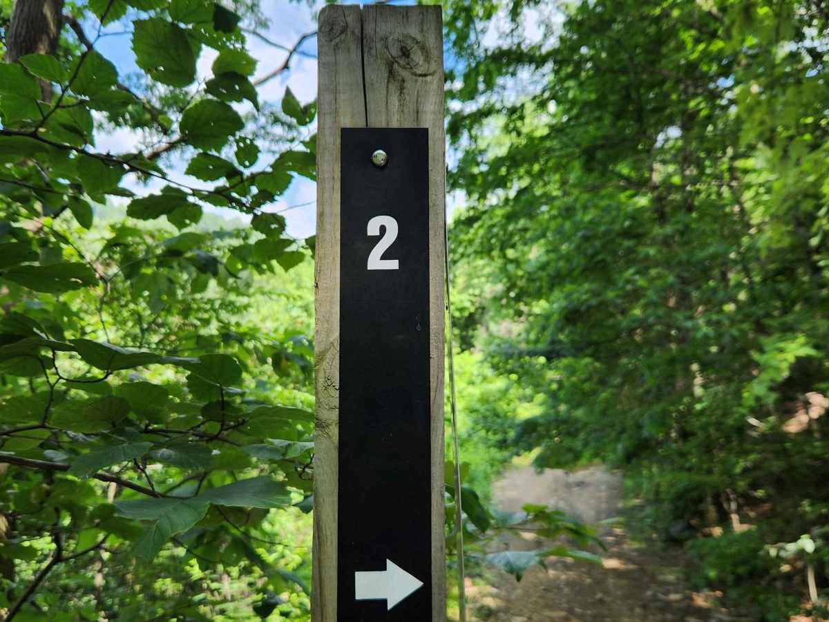 Trail 2 - Black - Rock Run Recreation Area trail photo