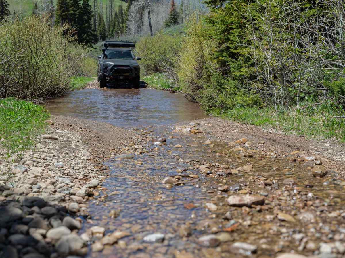West Fork Duchesne - FR 70050 photo 6