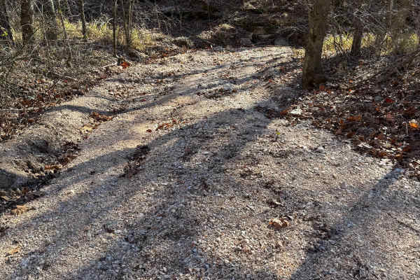 Rock Step Creek 224