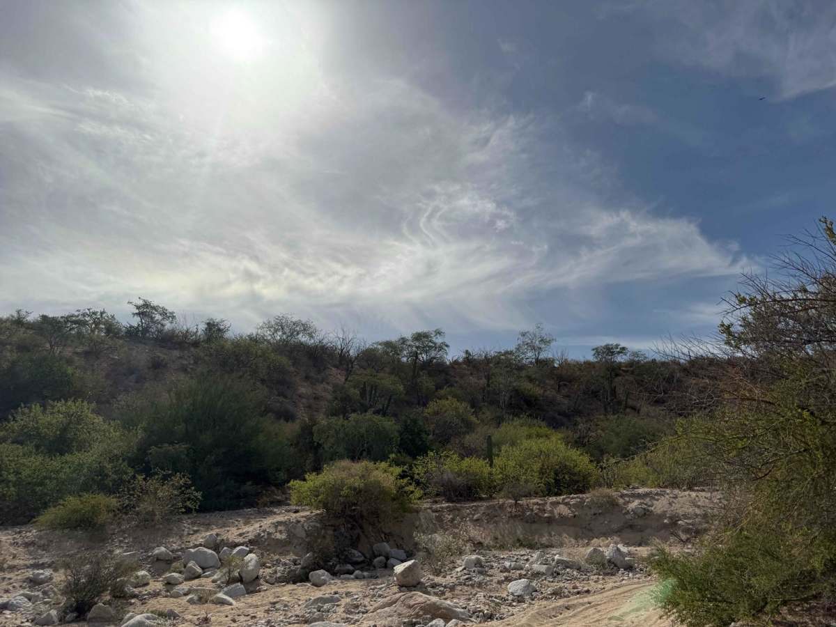 New El Jalito wash photo 6