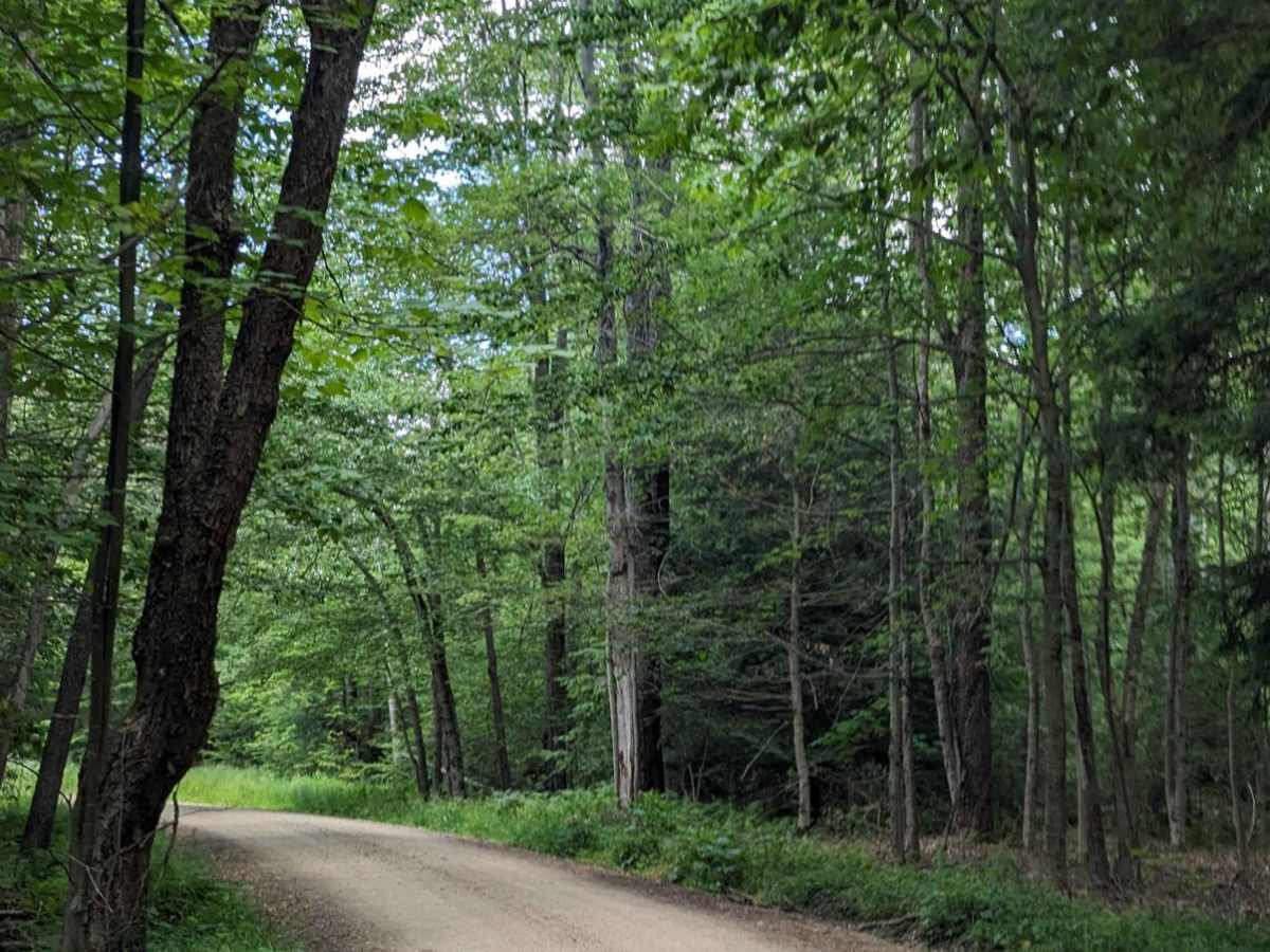 Loyalsock Road photo 2