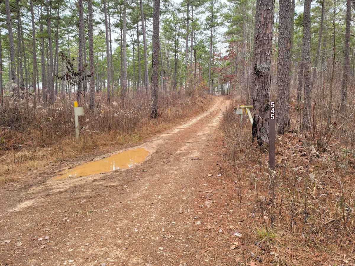 USFSR #545 - Hilltop trail photo