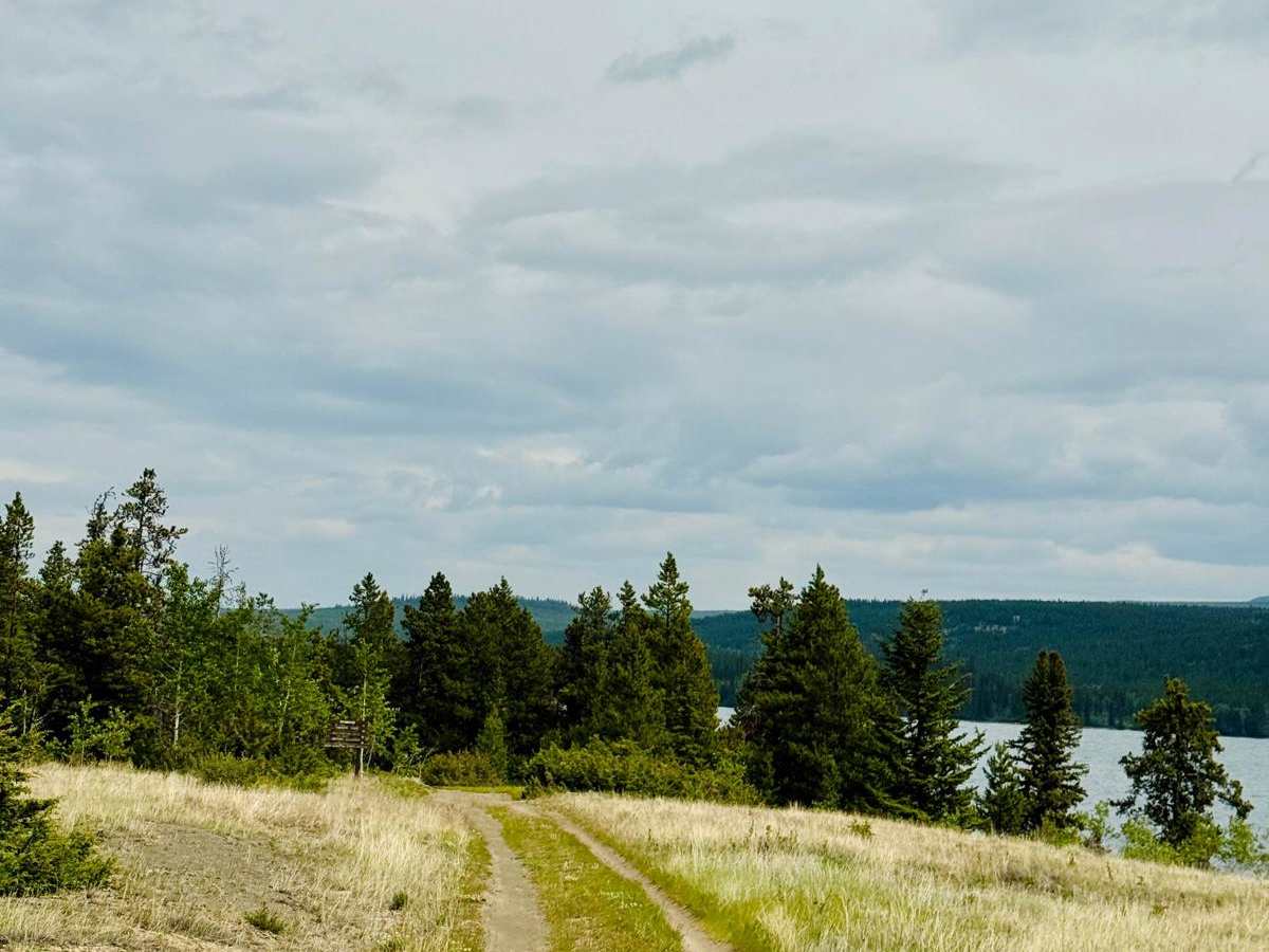 Tsuniah Lake Recreation Site FSR photo 4