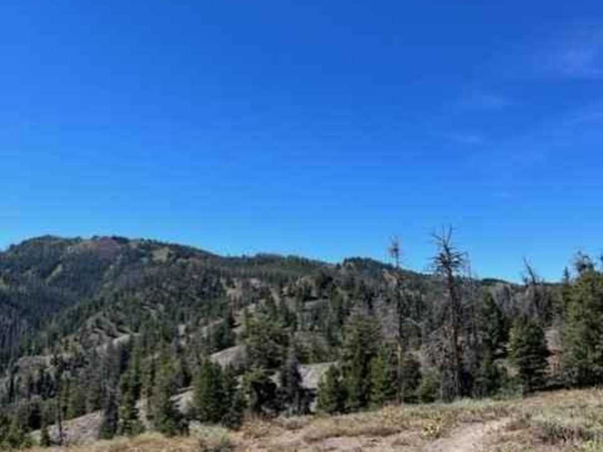 Oregon Gulch to Fox Peak photo 5