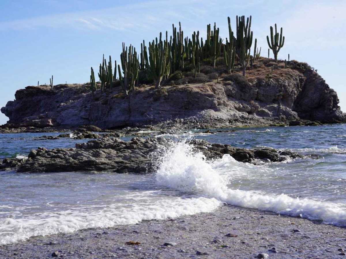 Trail to Playa El Choyudito trail photo