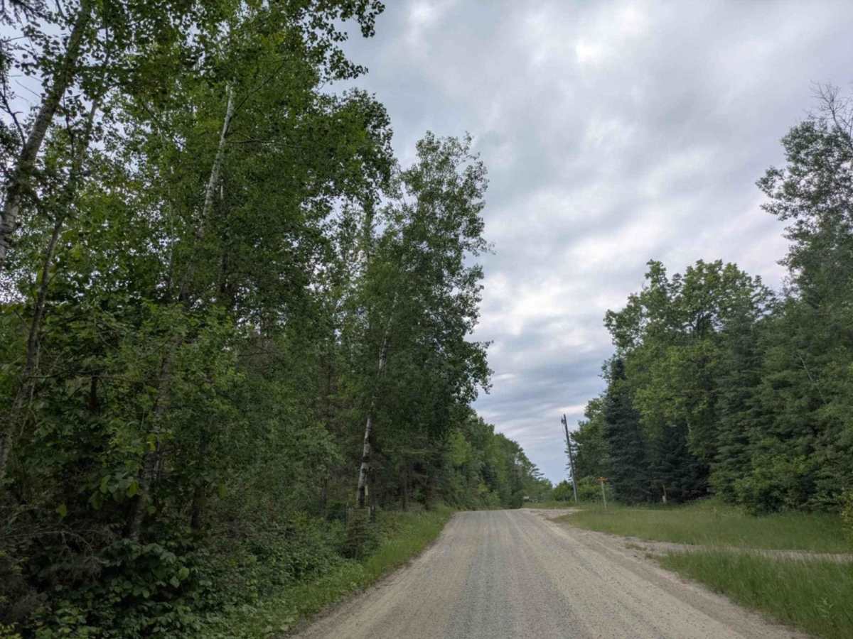 Jack the Horse Road photo 2