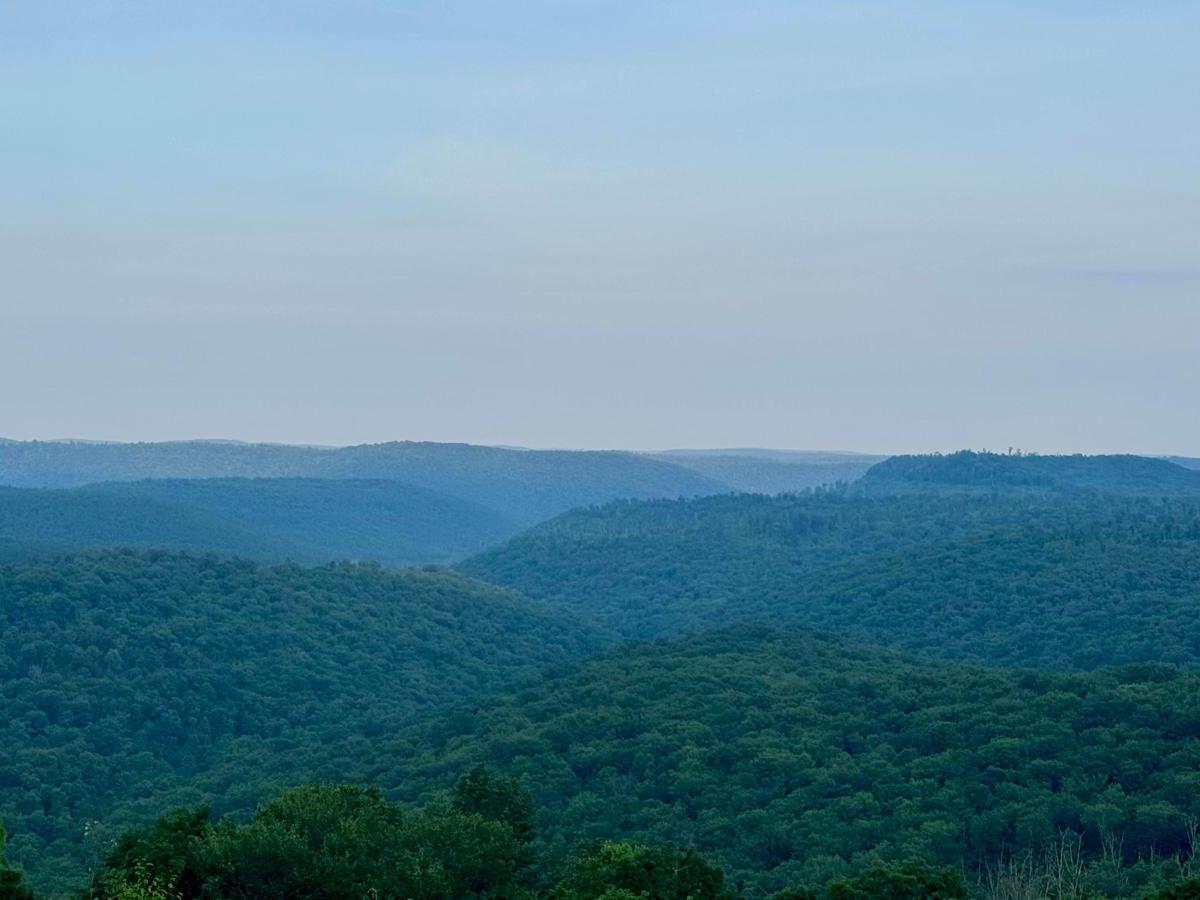 Horton Run Road photo 5