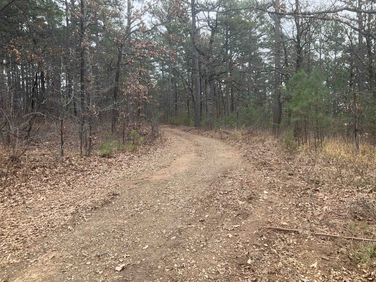 Tower Trail trail photo