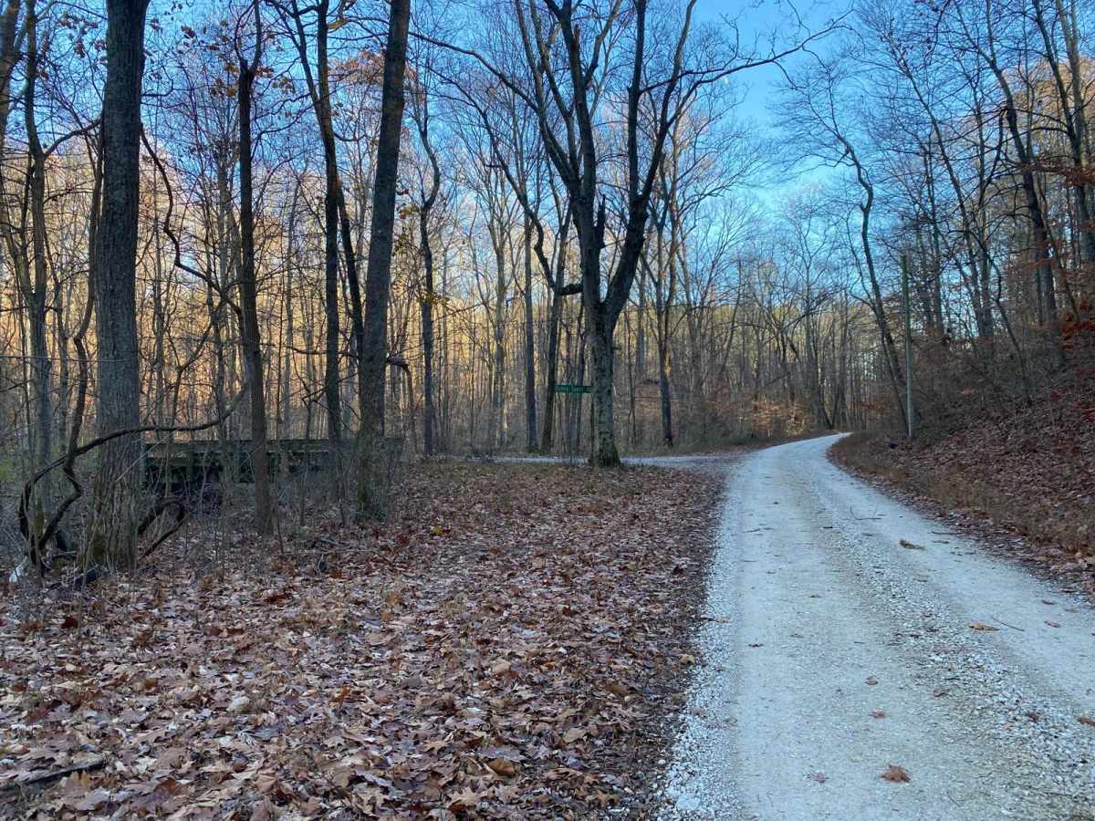 Wolf Creek Road photo 3