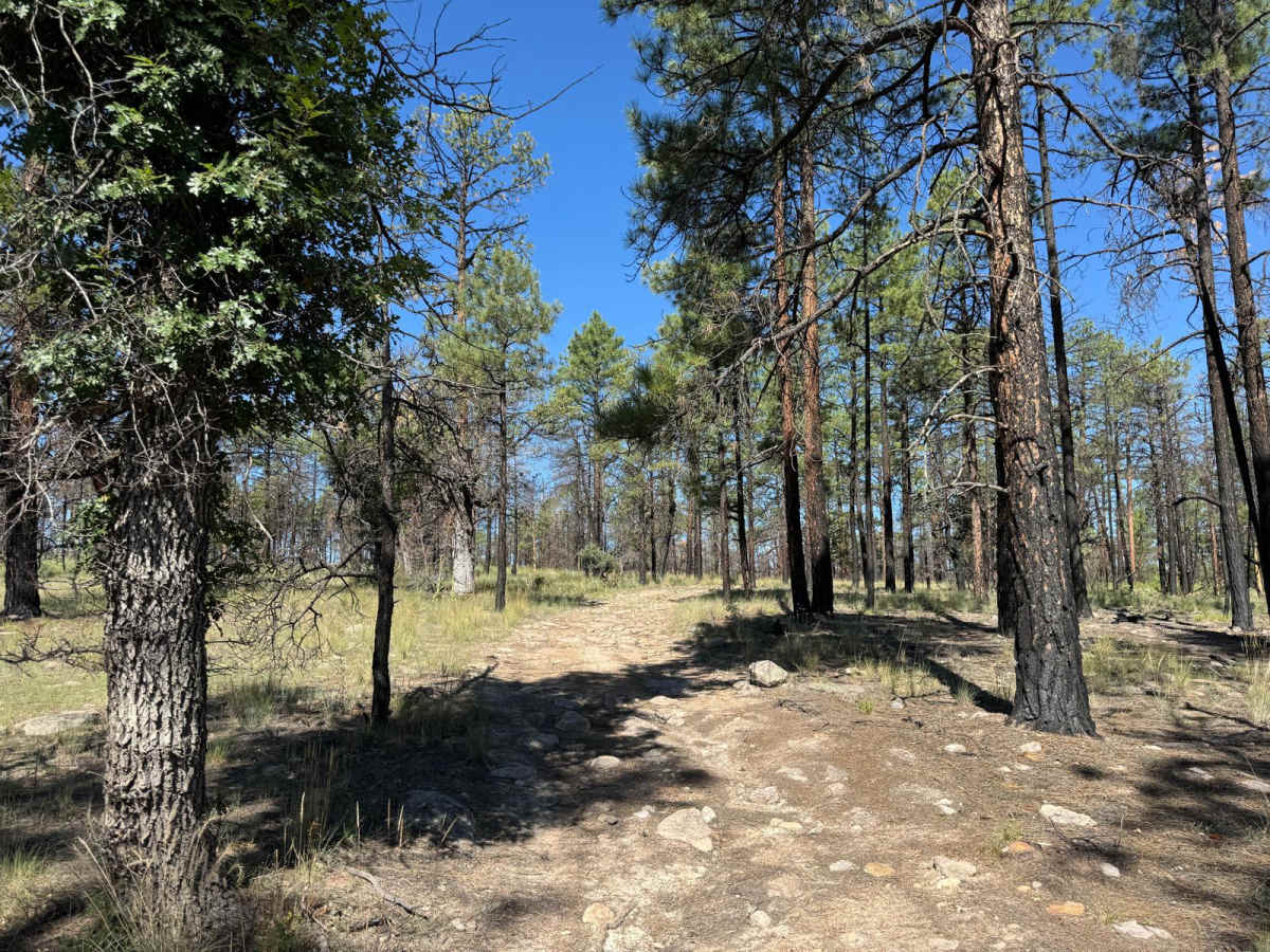 4073W photo 2