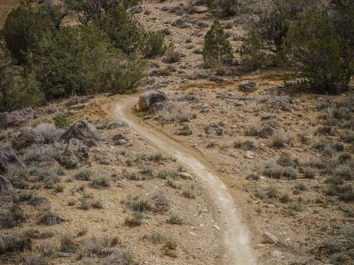 Mystery Ditch photo 5