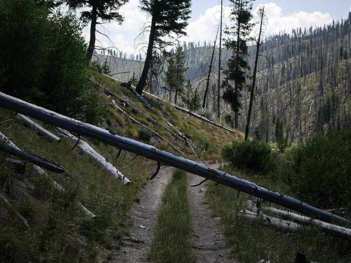 Lower Basin ATV photo 6