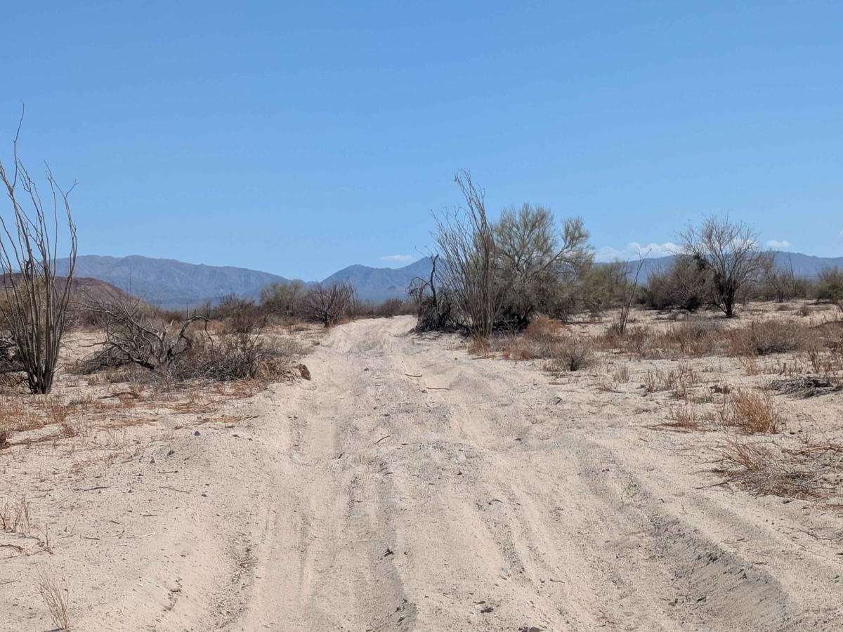 La Carrera De La Bobina Del Desierto photo 2