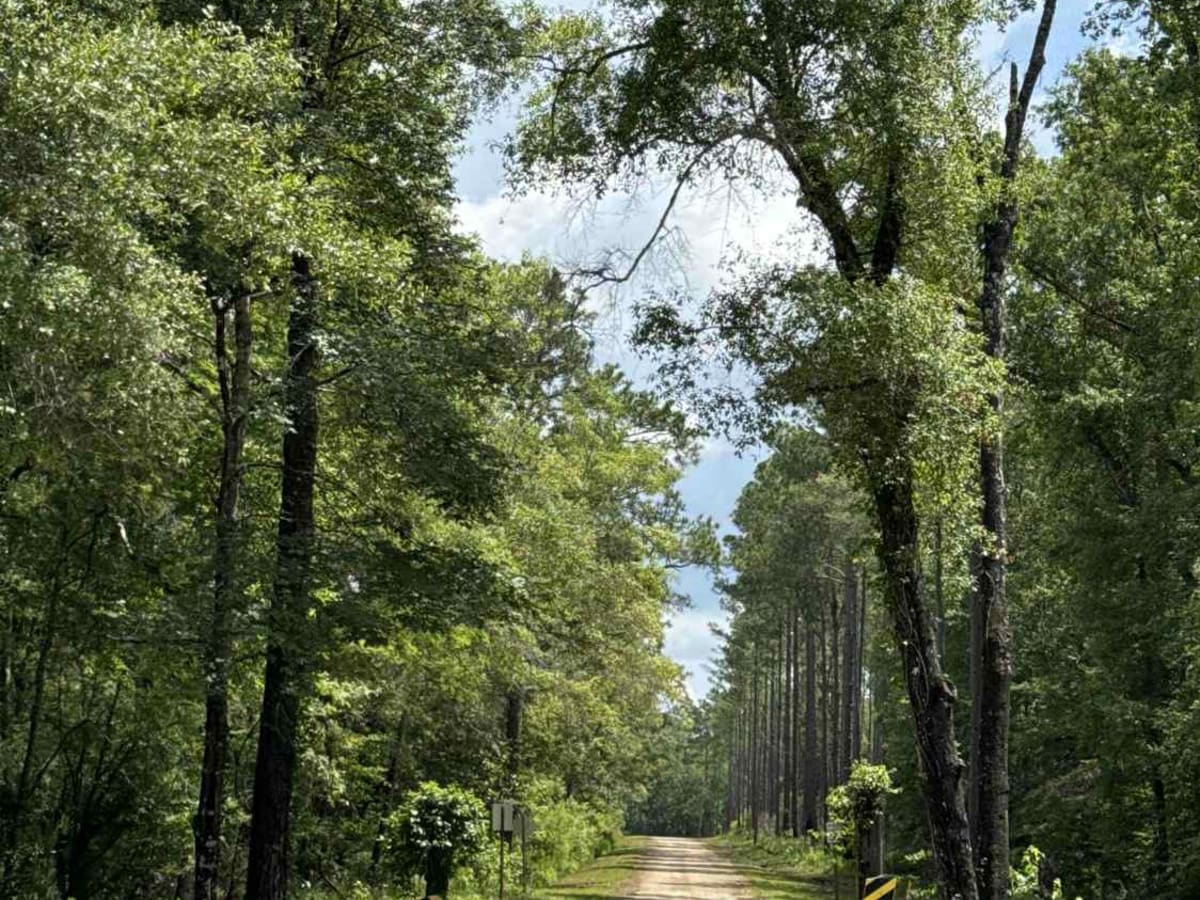 Jeff Sanders Road photo 5