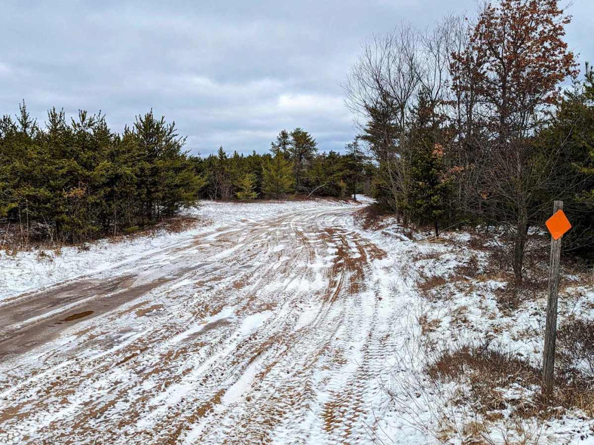 Oyster Road/4476 photo 2