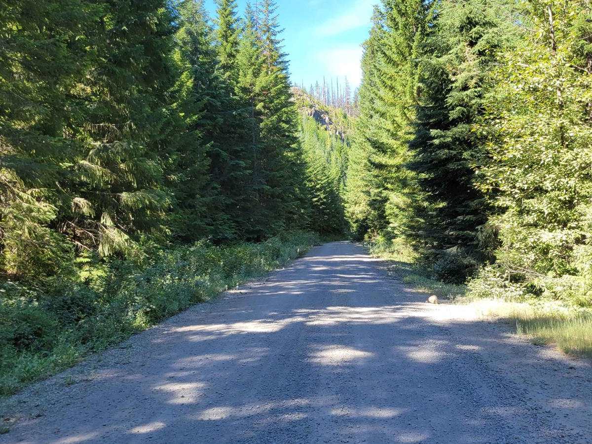 FR 6350 - Grahams Pass photo 3