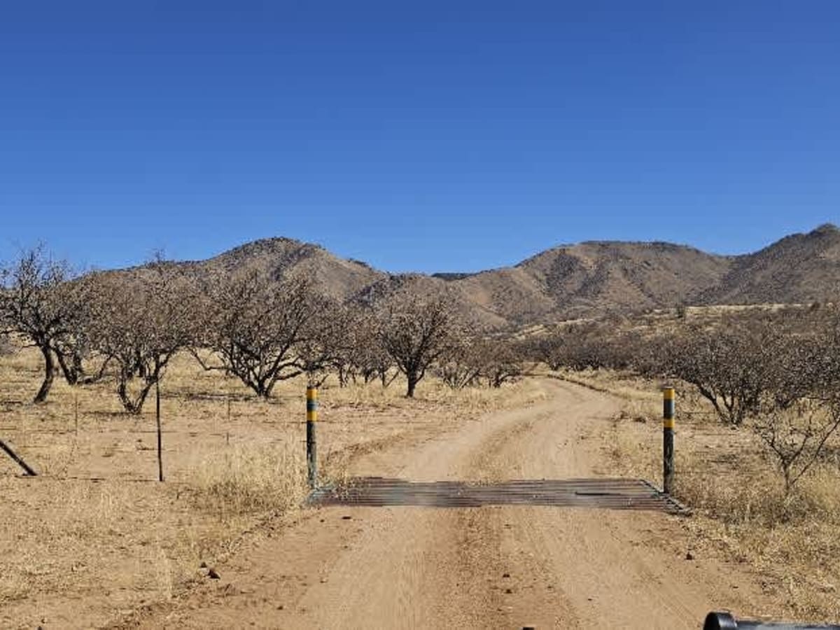 Palomas Mesa photo 3